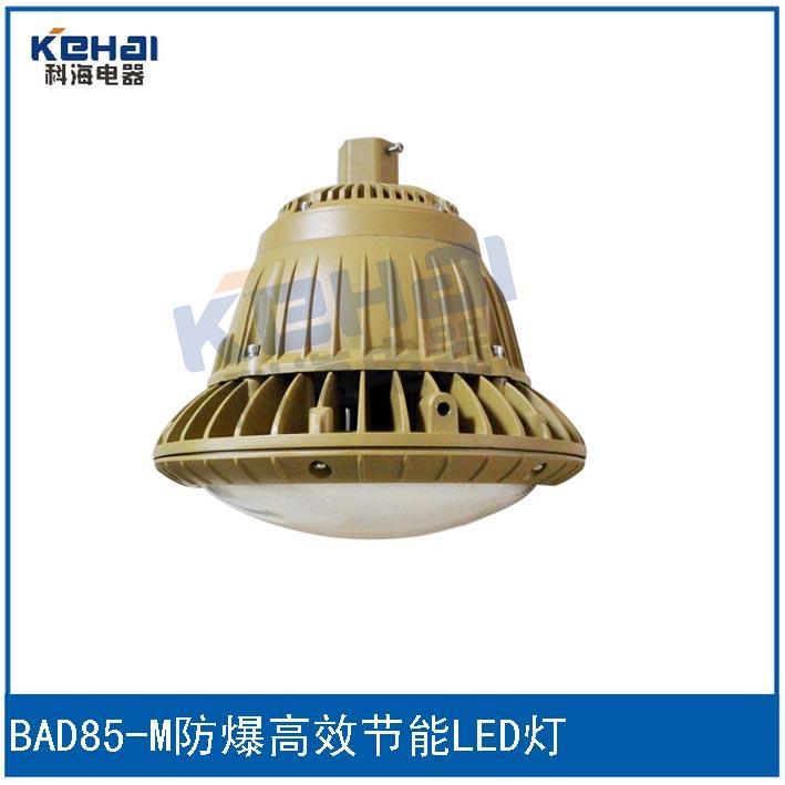 科海供应防爆高效节能LED灯BAD85-M